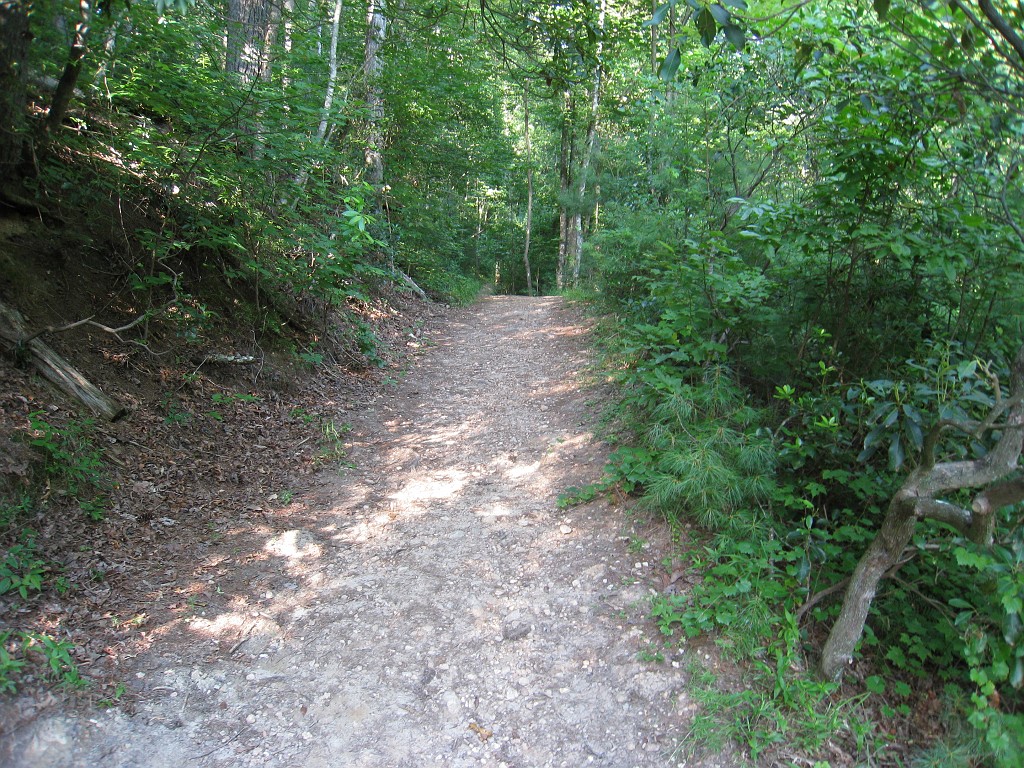 Helen to Unicoi 2010 0375.jpg - The trail from Helen Georgia to the lodge at Unicoi State Park makes a fun six mile run. July 2010 and 90 degrees makes it a little bit more of a workout.